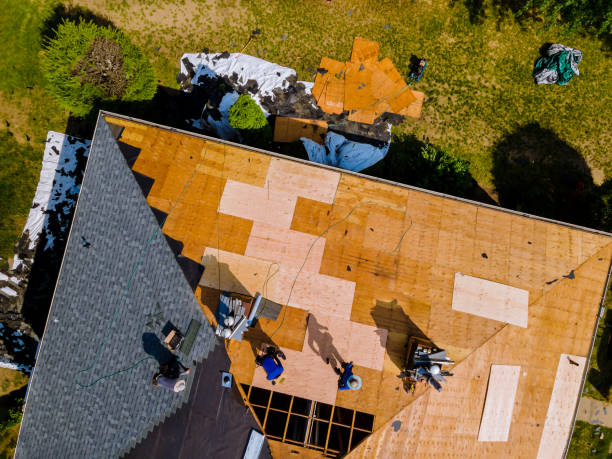 Best Roof Maintenance Services  in Wise, VA
